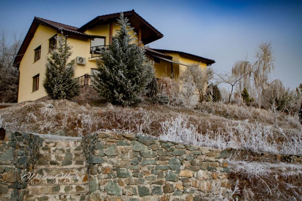 Дома для отпуска Pure Nature Refuge Appartment Miniş
